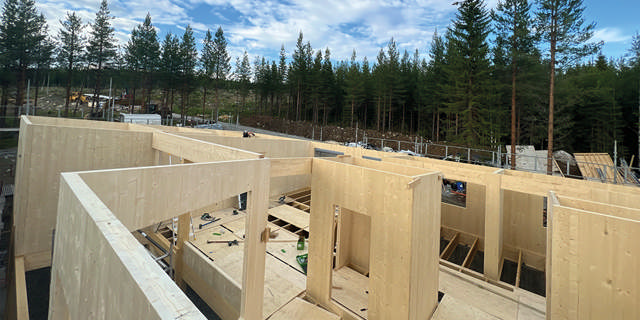 Ett hus av massivträ uppförs mitt i en barrskog.